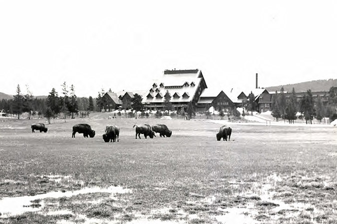 The Old Faithful Inn